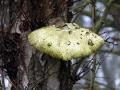 19-DSC09259-