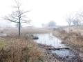 21-DSC09278-