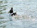 23-DSC09309-