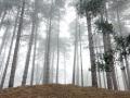 25-DSC09250-