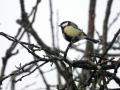 26-DSC09274-