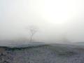 27-DSC09231-