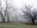 29-DSC09244-