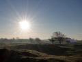 11-DSC05231-Westhoek.