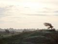 12-DSC04984-