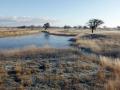 17-DSC05247-Haasveld.