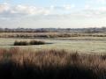 20-DSC05253-Haasveld.