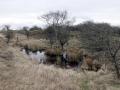 21-DSC05174-Drift-blauwe-paal.