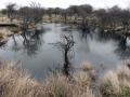 22-DSC05180-Drift-blauwe-paal.