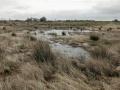 24-DSC05201-Haasvelder-duinen.