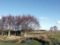 26-DSC05293-Kromme-Del.