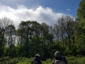 IMG-20190504-WA0039