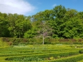 IMG-20190504-WA0082