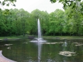 Vijver