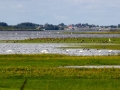 _MG_2478a