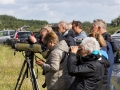 _MG_2480a