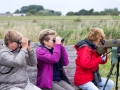 _MG_2602a