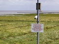 _MG_2726a