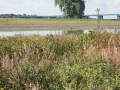 landschap bij Tull en 't Waal