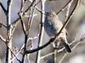 05-DSC00722-