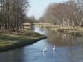 08-DSC00798-