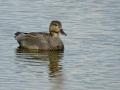 10-DSC09961-