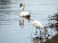 13-DSC00894-