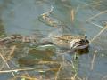 19-DSC01366-