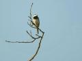 26-DSC01258-