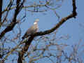 01-DSC00635-