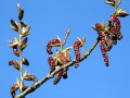 02-DSC00869-