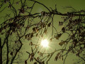 04-DSC00654-