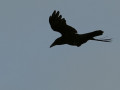 05-DSC00337-