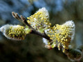 07-DSC00680-