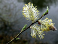 11-DSC00719-