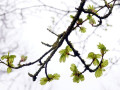 14-DSC00734-