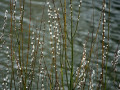 15-DSC00722-