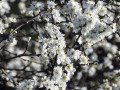 16-DSC00772-