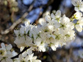17-DSC00781-