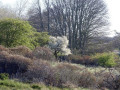 18-DSC00797-