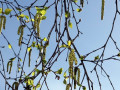 20-DSC00843-