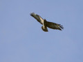 22-DSC00910-