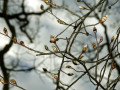 26-DSC01047-