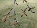 30-DSC01099-