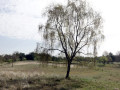 33-DSC01144