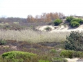 DSC07707