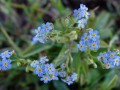 25-DSC00591-