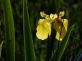 26-DSC00024-
