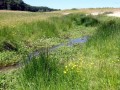 32-DSC00446-