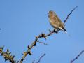02-DSC07912-Kneu_